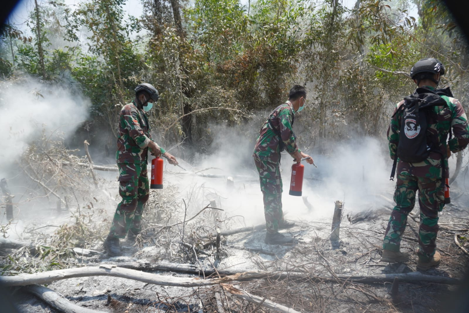 TNI Percepat Penanganan Karhutla Way Kambas, Tim Alfa Diterjunkan dari Udara