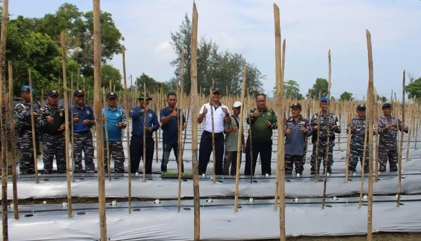 Danlanal Bengkulu Aktif Dalam Meninjau Lahan Pertanian, Implementasi Dukungan Terhadap Ketahanan Pangan Nasional