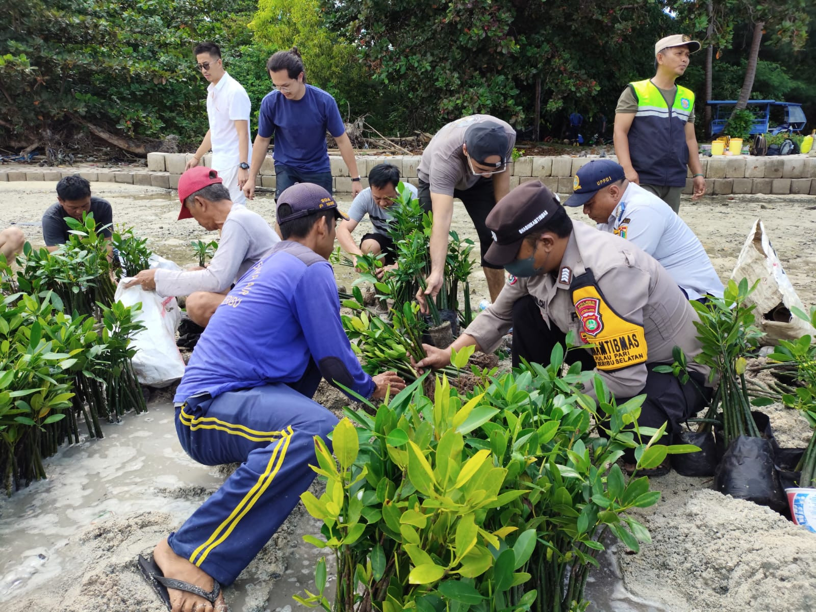Aipda Hendra Kristianda dan Bripka Khohim Chovivi Ikut Tanam 3.700 Pohon Mangrove di Pulau Pari Sambut Hari Bumi