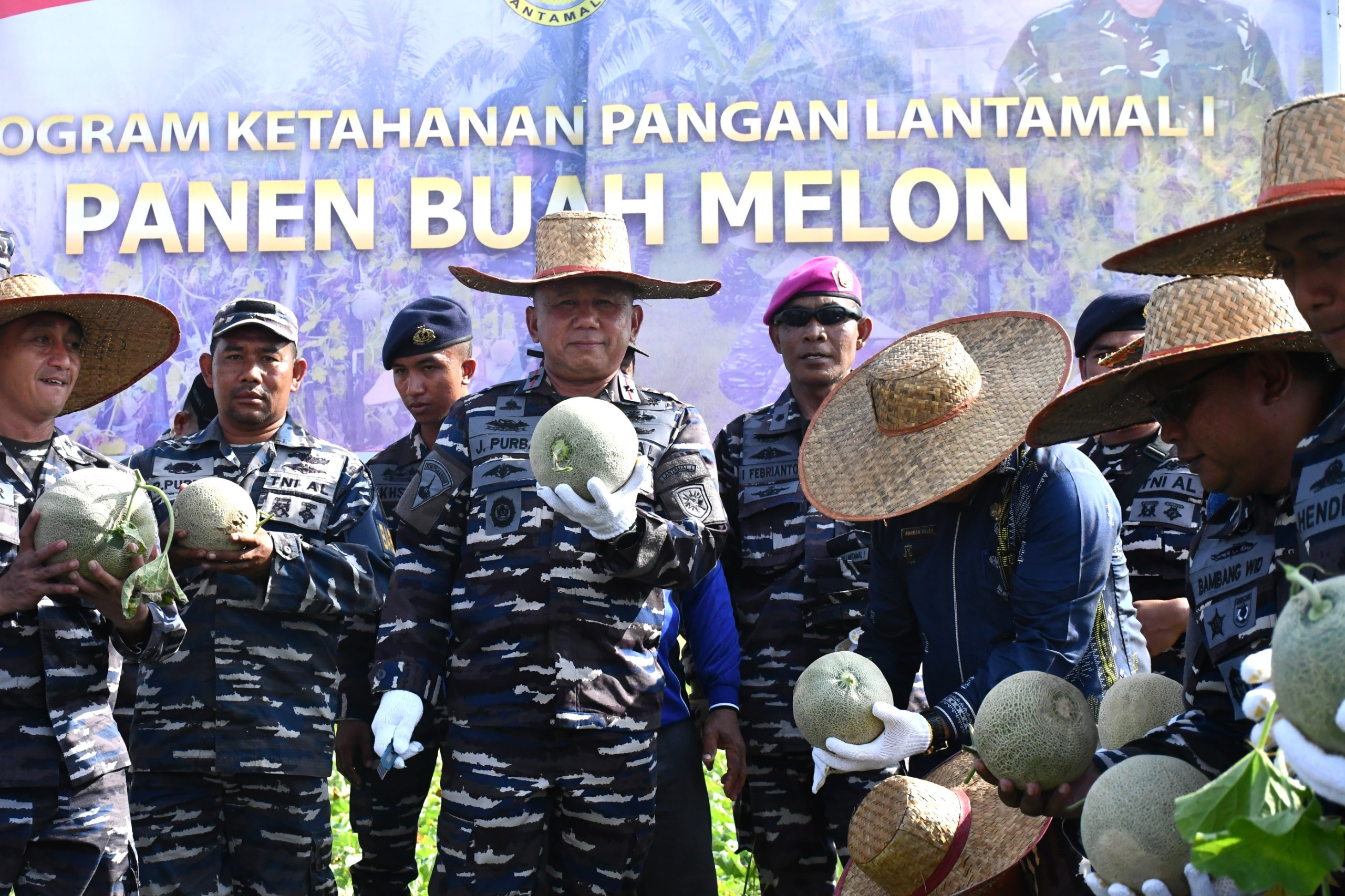 Dukung Program Ketahanan Pangan Melalui Bintahwilmar, Lantamal I Tabur Bibit Ikan Nila dan Panen Buah Melon
