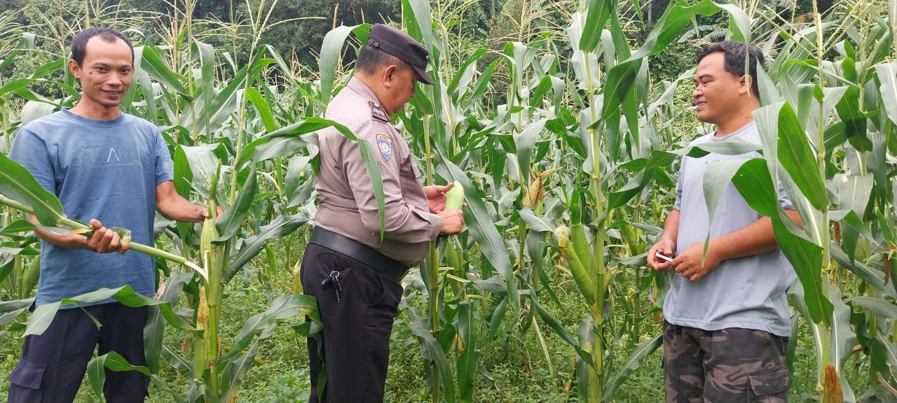 Bhabinkamtibmas Desa Mekarsari Dorong Ketahanan Pangan dan Wujudkan Lingkungan Aman Kondusif