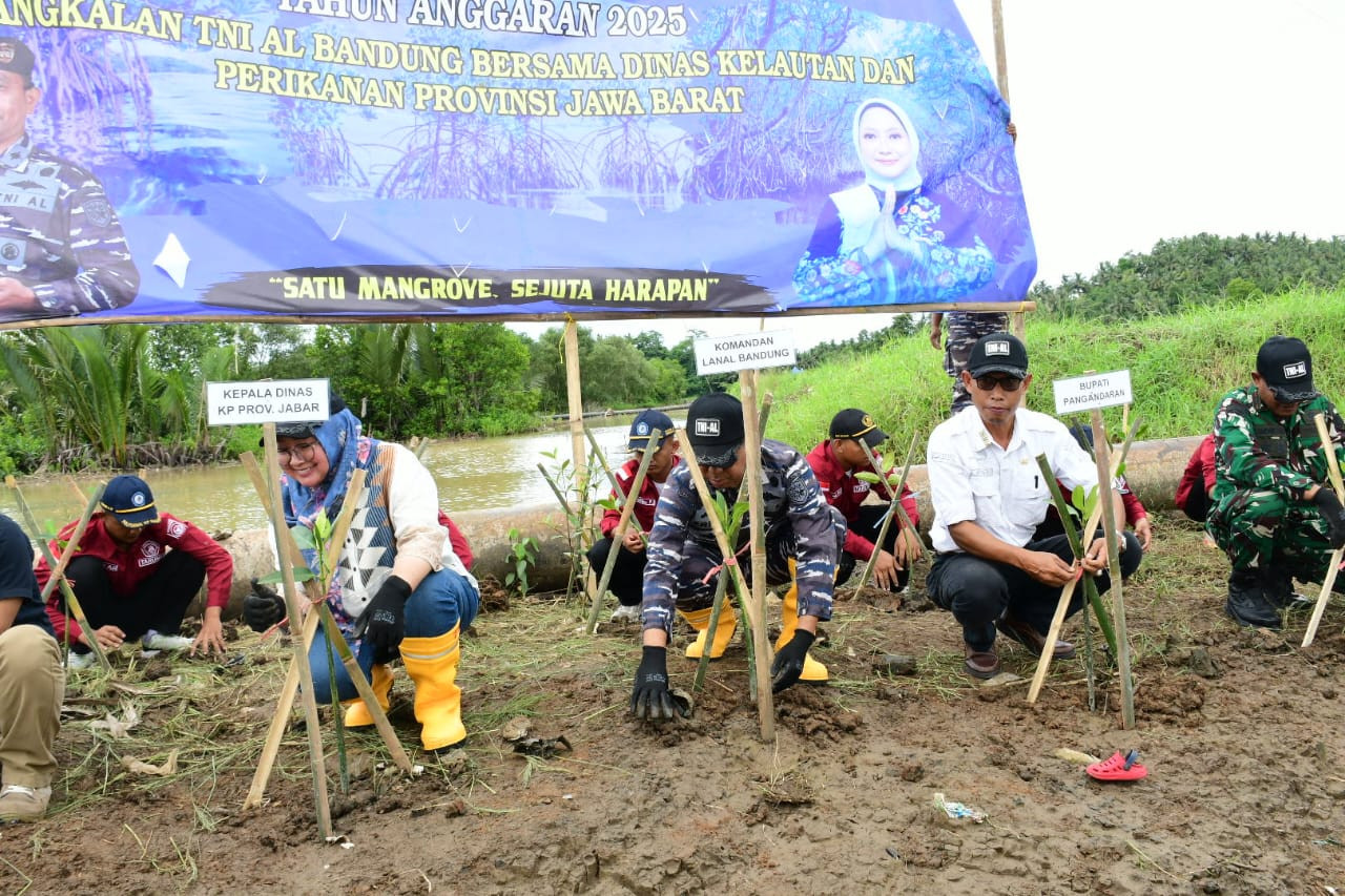 Pangkalan TNI AL Bandung Bersama Dinas Kelautan dan Perikanan Provinsi Jawa Barat Laksanakan Penanaman Bibit Mangrove di Wilayah Pesisir Selatan Jawa Barat Tahun Anggaran 2025