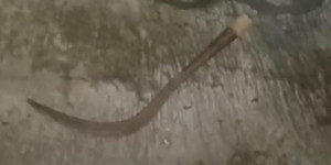 Tim 2 Beruang Jaga Jakarta Amankan 3 Pemuda Bawa Celurit di Bekasi Timur