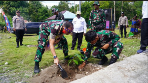 Hijaukan Kampung, Sejahterakan Warga! Satgas TMMD Ke-129 Tanam 500 Pohon Produktif untuk Masa Depan Masyarakat Sesor