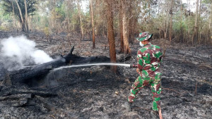 TNI Kerahkan Personel dan Heli Caracal Perkuat Penanganan Karhutla di Wilayah IKN