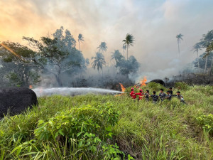 Lanal Ranai Bersinergi Padamkan Kebakaran Lahan Gambut ± 30 Hektar di Cemaga Tengah