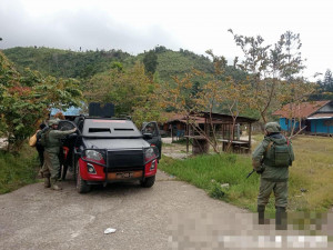 Tim Gabungan Satgas Damai Cartenz, Polres Pegunungan Bintang dan TNI Temukan Ladang Ganja dalam Patroli Taktis