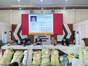 Operasi Gabungan Polda Sumsel Bongkar Ladang Ganja 20 Hektar di Empat Lawang, 220 Kg Ganja dan Bandar Utama Ditangkap