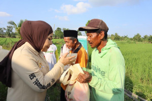Tinjau Sentra Perbenihan Padi Bulungan, Hj. Rahmawati: Program Prabowo Bikin Petani Makin Optimistis